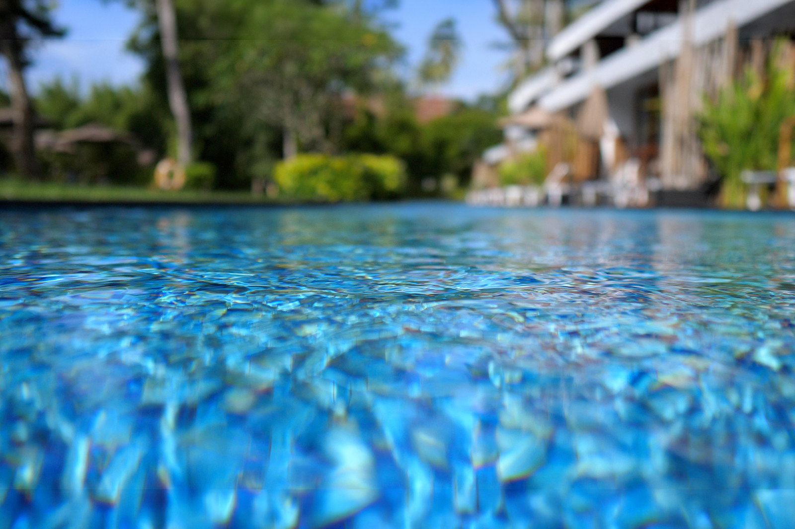 Active life at Bluenose Residence